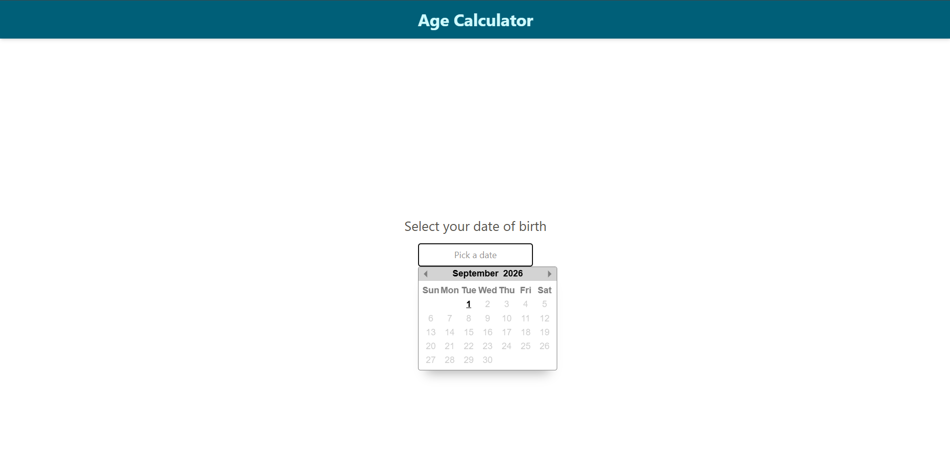 Age Calculator screenshot
